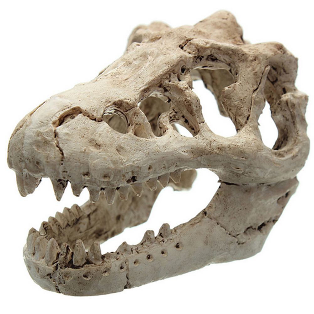 Resin Aquarium/Terrarium Decoration Crocodile Skull For Fish Tank Resin Orn, 501 Original
Resin Aquarium/Terrarium Decoration Crocodile Skull For Fish Tank Resin Orn, 501 Original