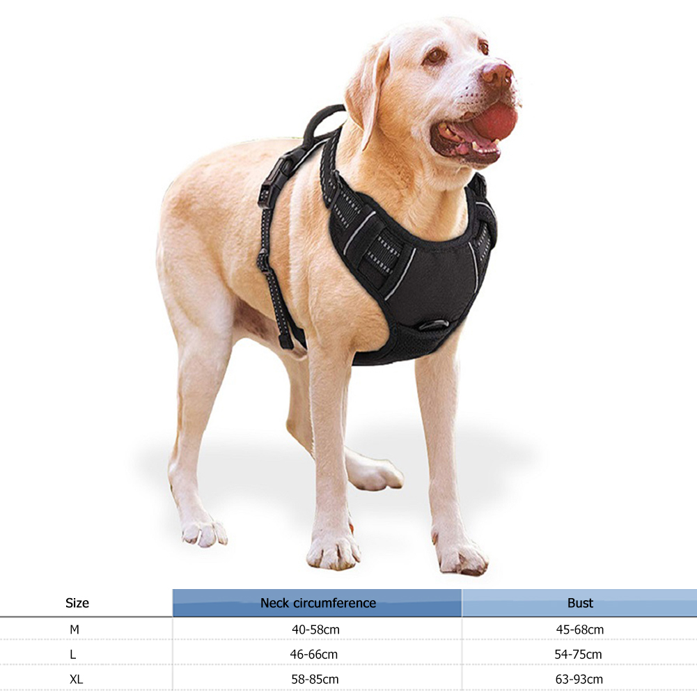 Dog Harness Reflective Breathable Adjustable Pet Vest for Cat Outdoor Walk, 501 Original
Dog Harness Reflective Breathable Adjustable Pet Vest for Cat Outdoor Walk, 501 Original
