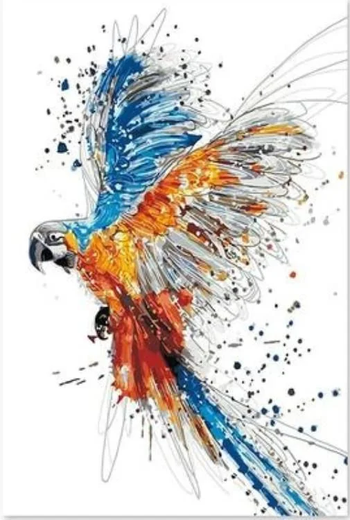 Bird Paint By Numbers Kits BN92709