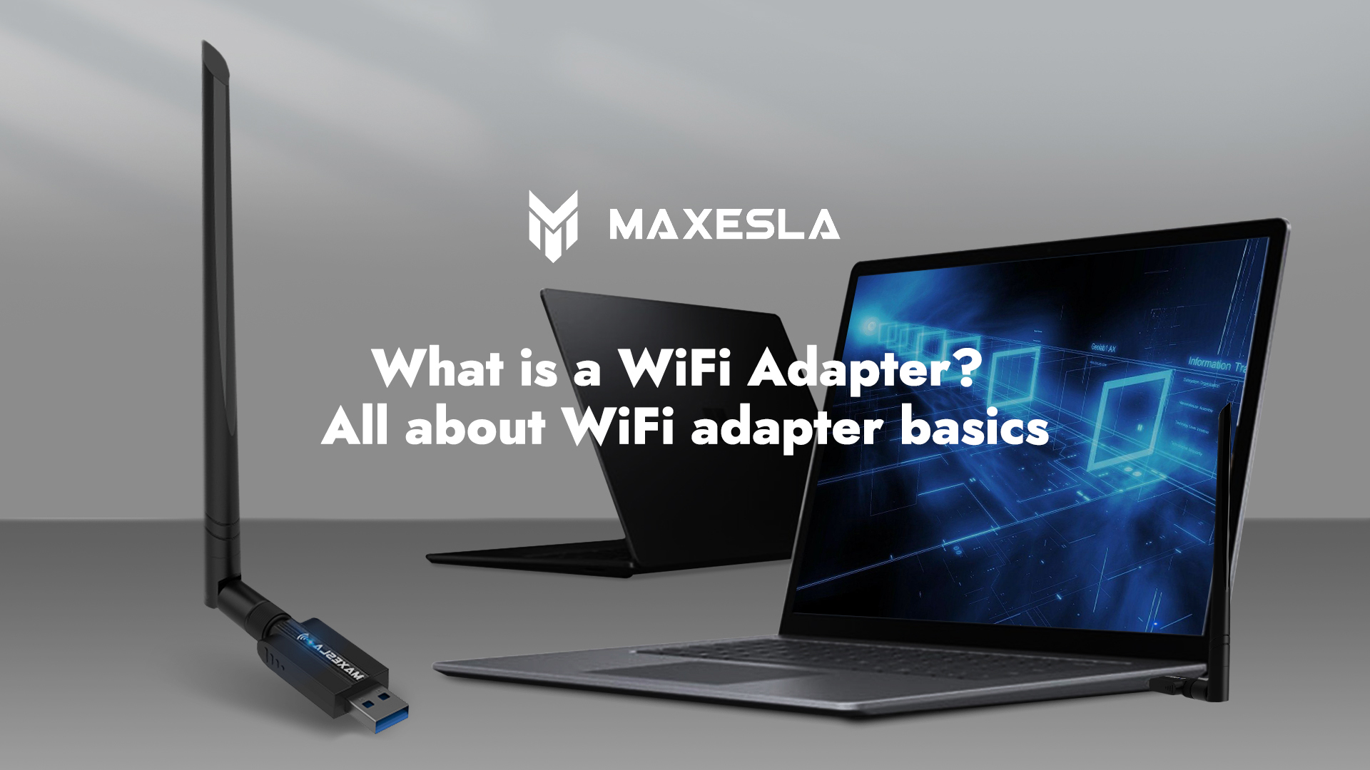 What Is A WiFi Adapter All About WiFi Adapter Basics Maxesla