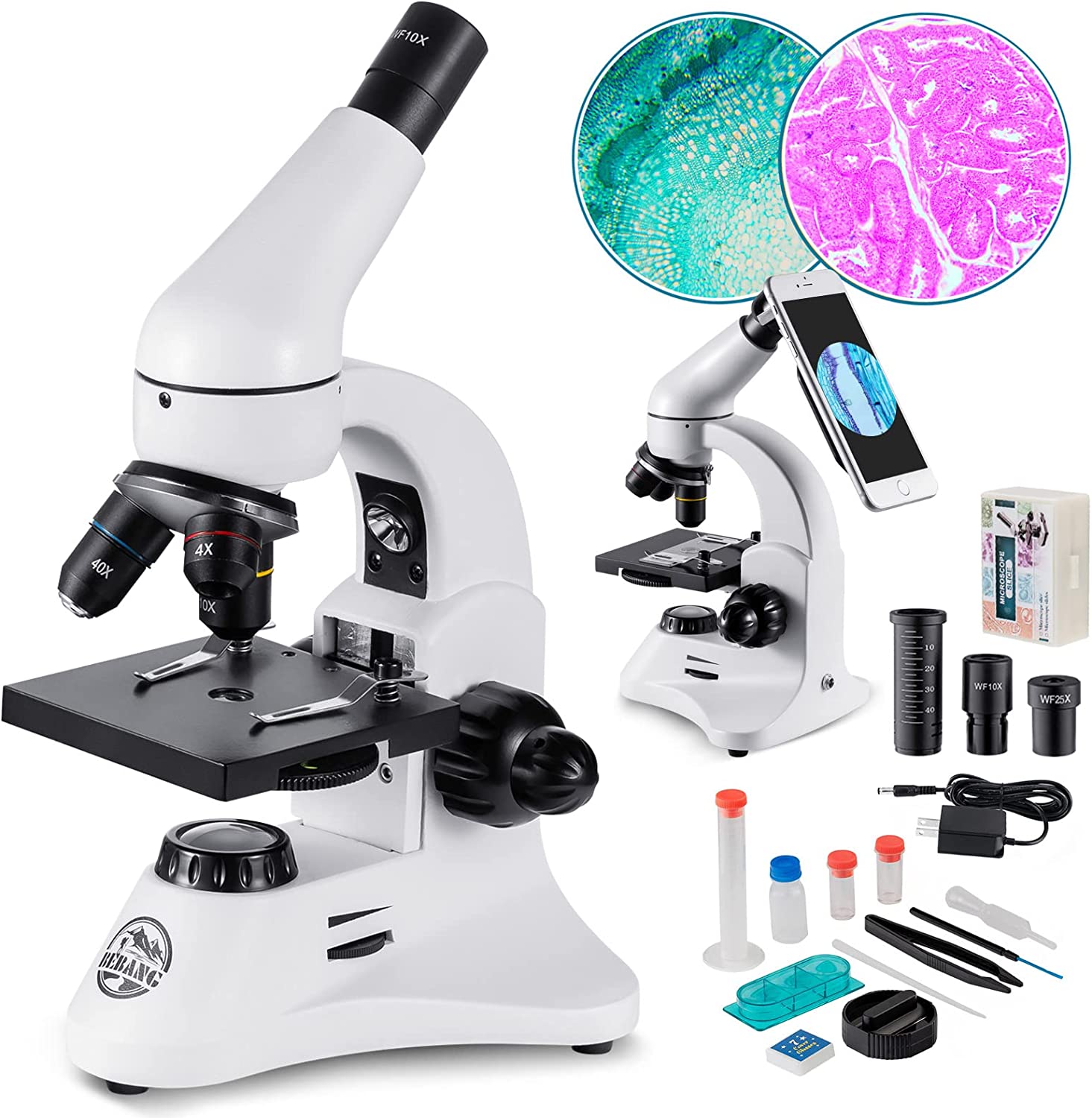 Mini-Microscopes - MedGyn High Magnification Mini-Microscopes
