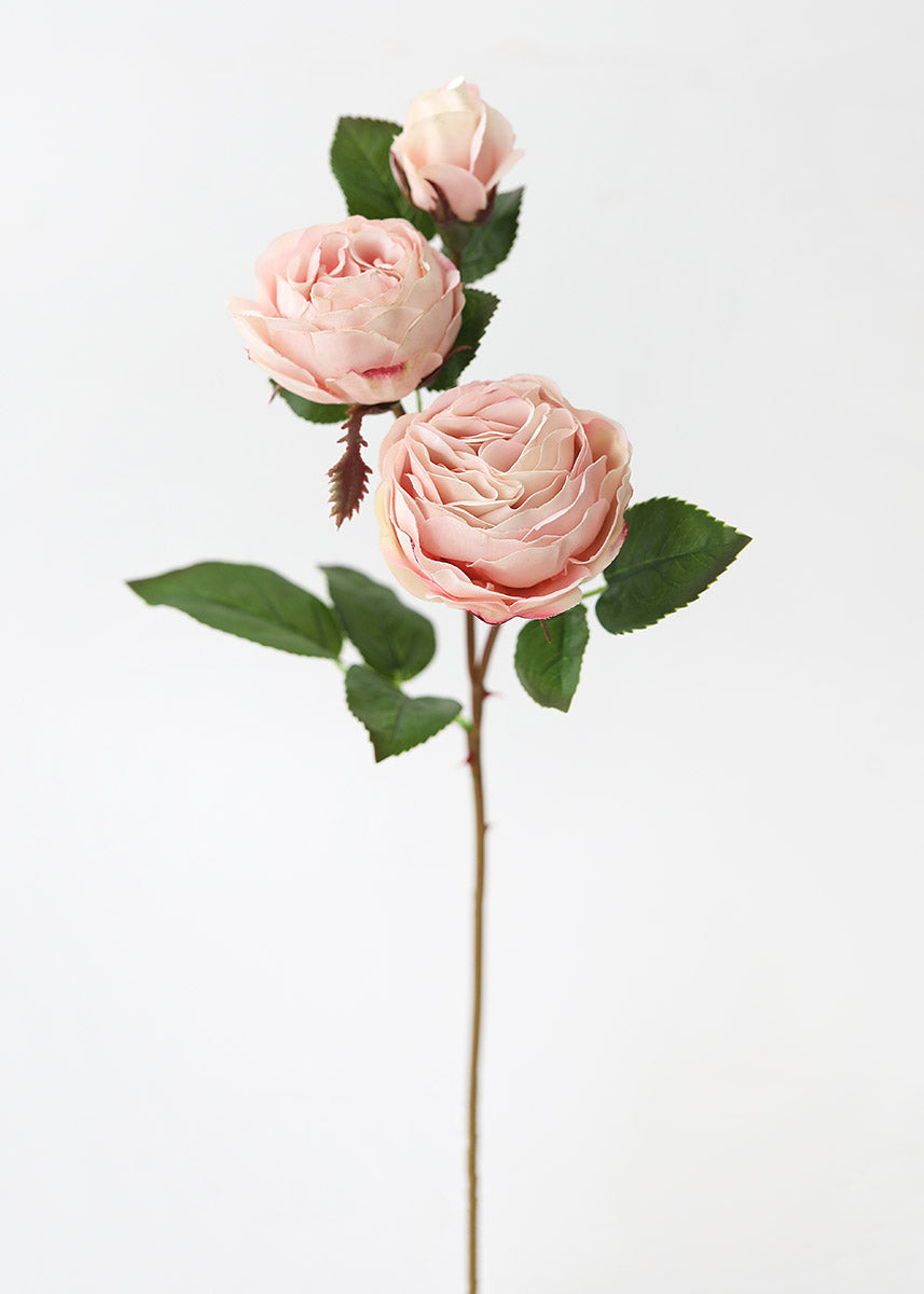 Cottage Pink Fake Rose - 21.5