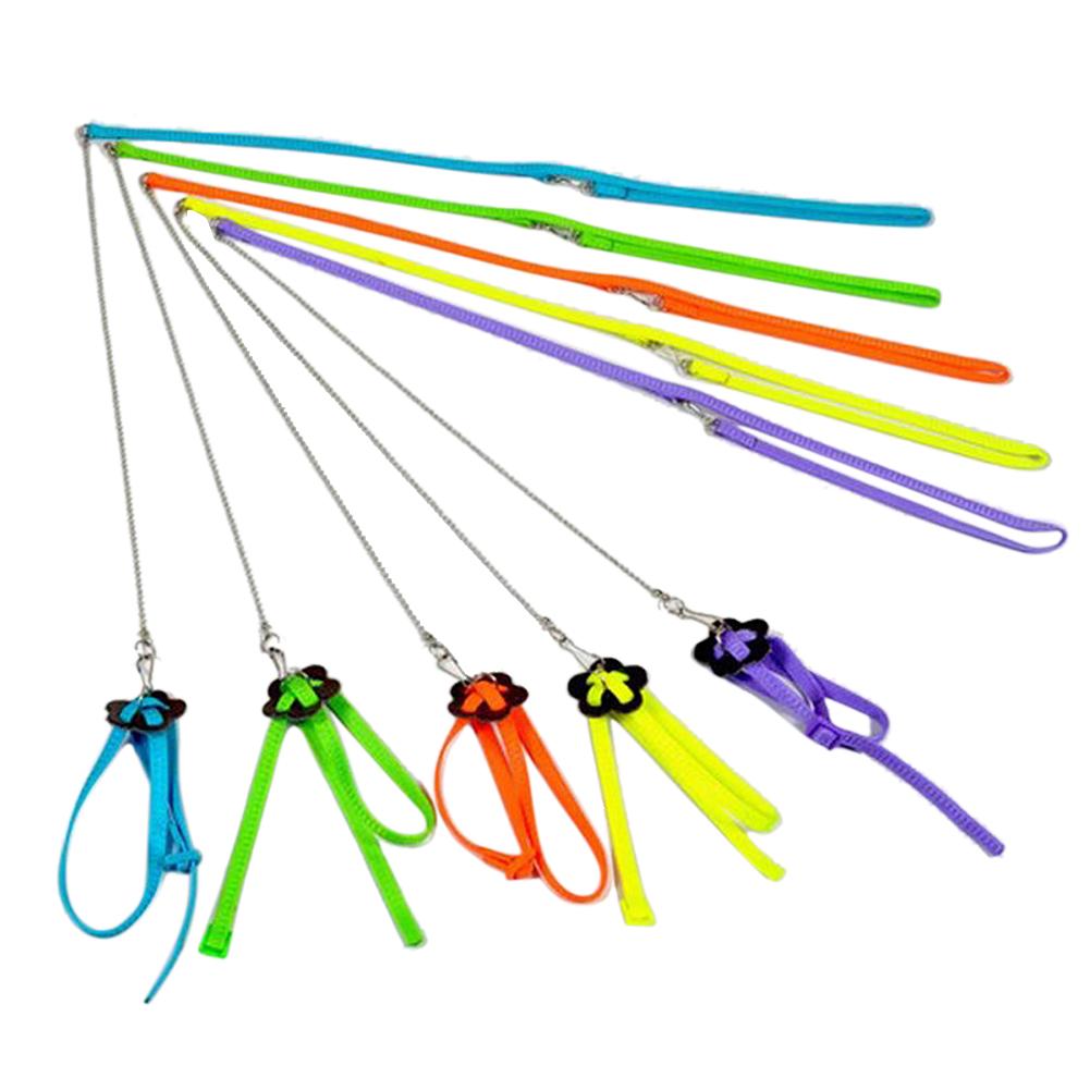 Bird Parrot Adjustable Harness & Leash Anti-bite Multicolor Light Soft, 501 Original
Bird Parrot Adjustable Harness & Leash Anti-bite Multicolor Light Soft, 501 Original