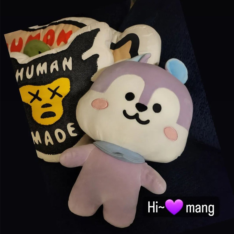 Fake cheap bt21 plush