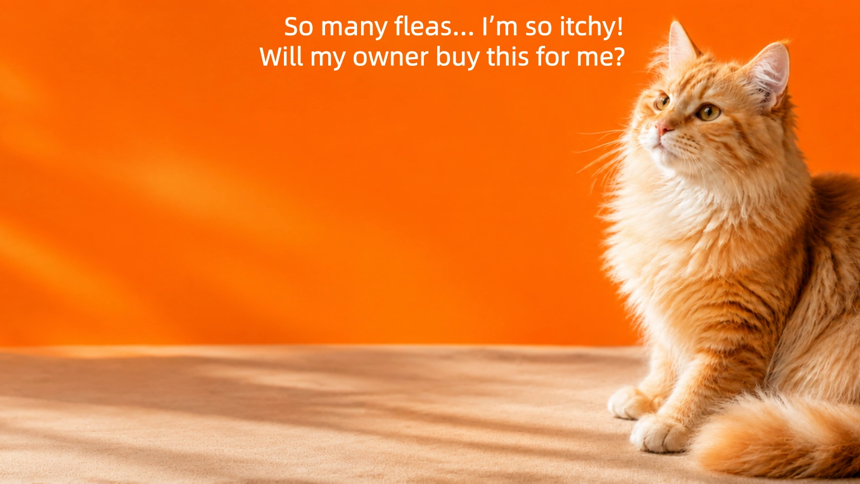 So many fleas… I’m so itchy! Will my owner buy this for me?