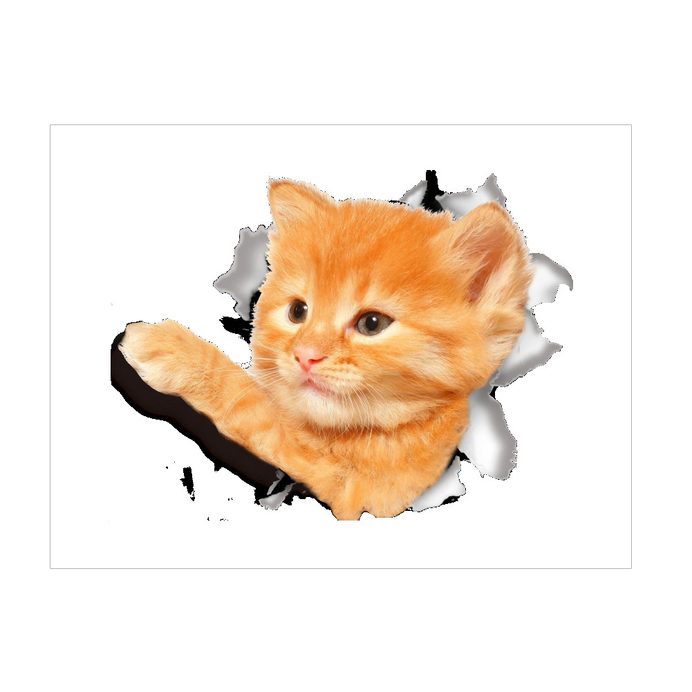 14150 Cat Vivid 3D Smashed Switch Wall Sticker Bathroom Kicthen Decorative-228662, 501 Original
14150 Cat Vivid 3D Smashed Switch Wall Sticker Bathroom Kicthen Decorative-228662, 501 Original