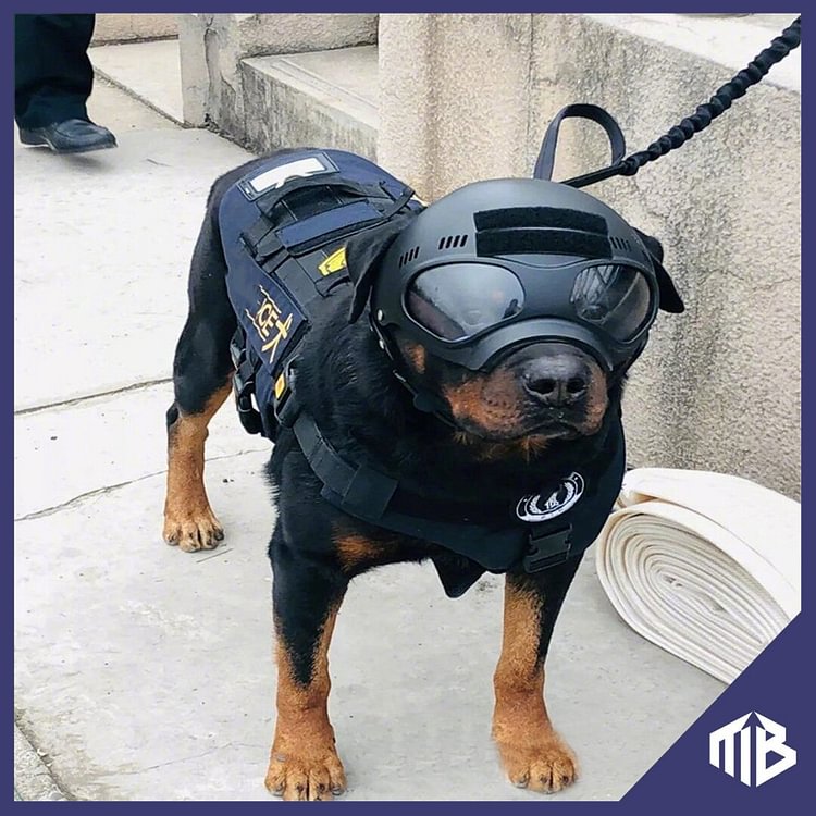 K9 HELM Tactical Headgear for the Working Dog-BallisticHelmetsForSale