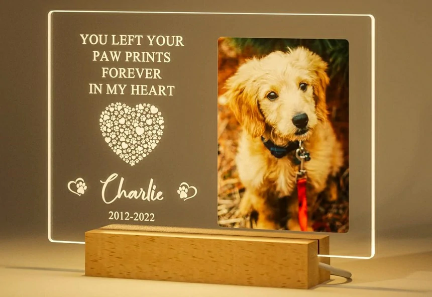 9 Meaningful Pet Memorial Ideas for Sudden Loss