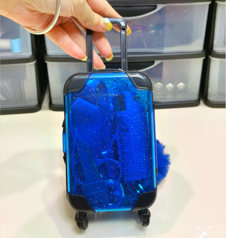 Mini Storage Suitcase - Safe Girl Defense