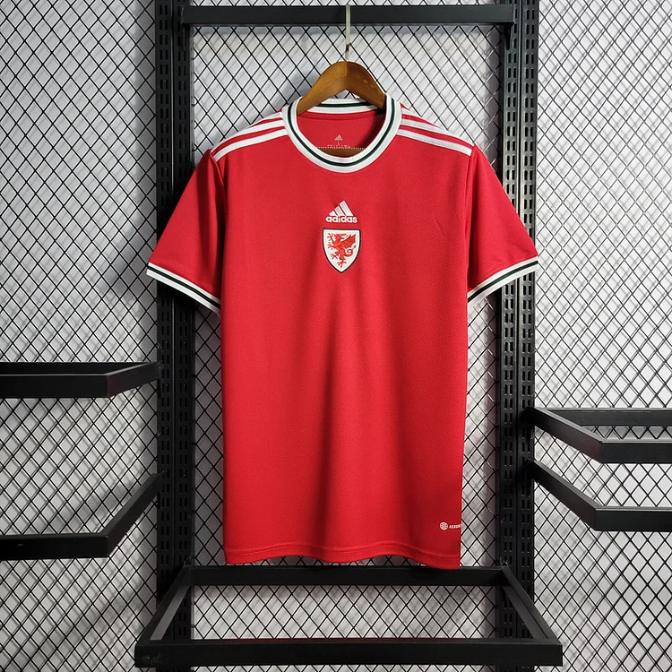 22-23 Wales Home  