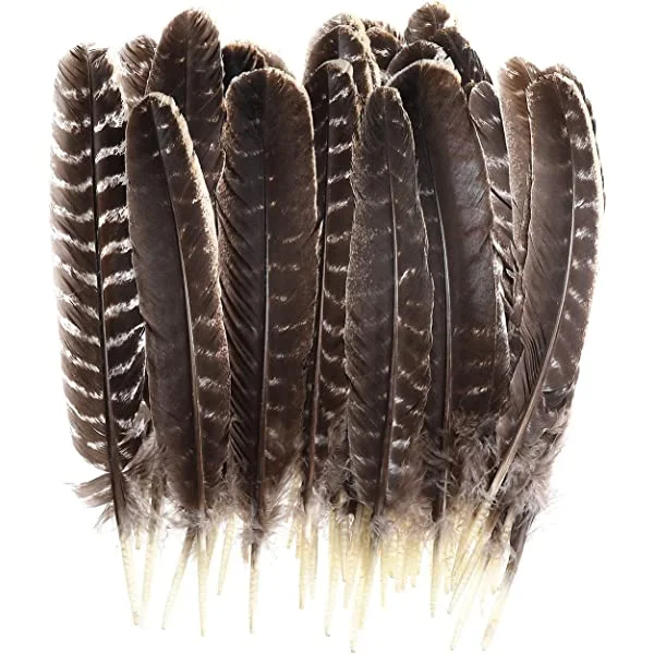 Natural Turkey Feathers Bulk
