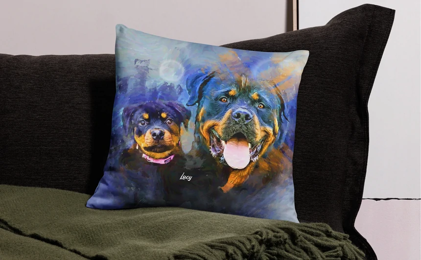 Top 10 Custom Pet Pillow Gift Ideas for Dog and Cat Lovers