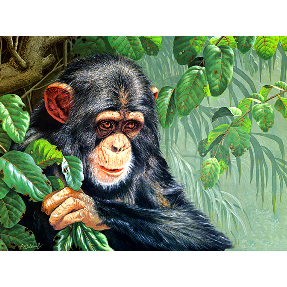 (Multi-Size) Chimpanzees - Round/Square Drill Diamond Painting, Square diamond 30*40cm, 501 Original
(Multi-Size) Chimpanzees - Round/Square Drill Diamond Painting, Square diamond 30*40cm, 501 Original