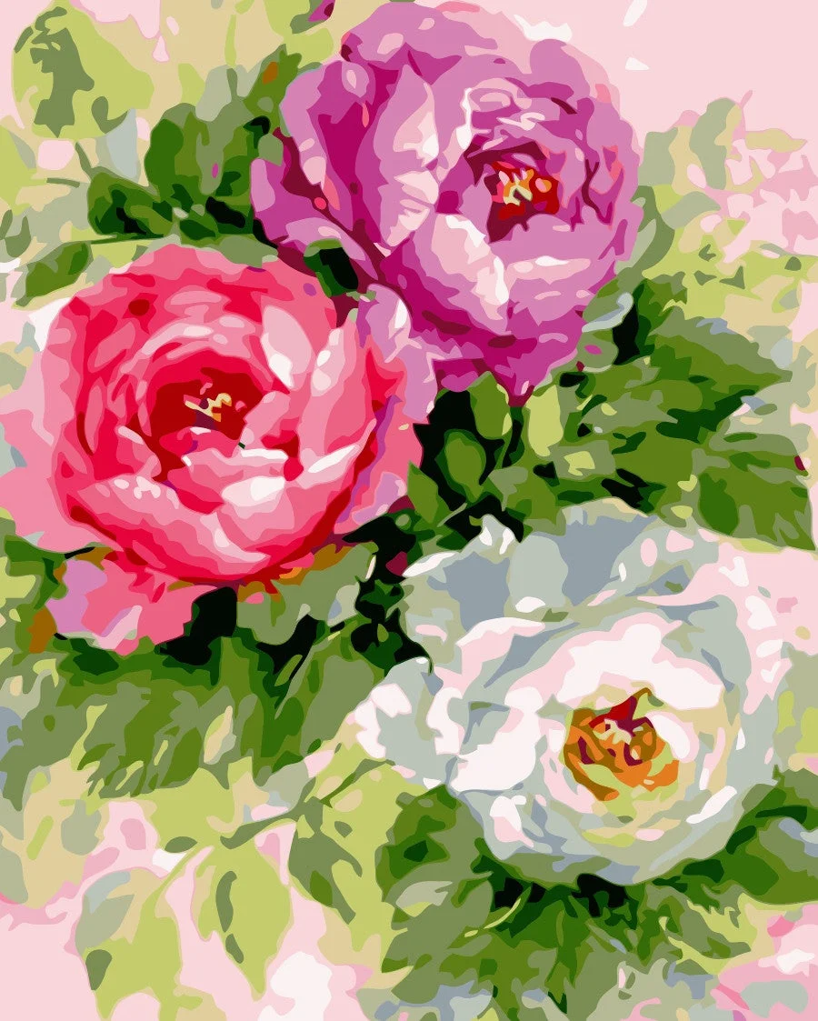 Flower Paint By Numbers Kits UK WH-80608