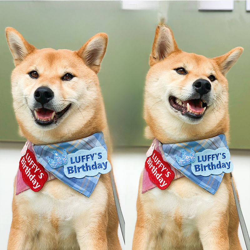 Personalized Pet Name Birthday Bandanas Custom Dog Bib