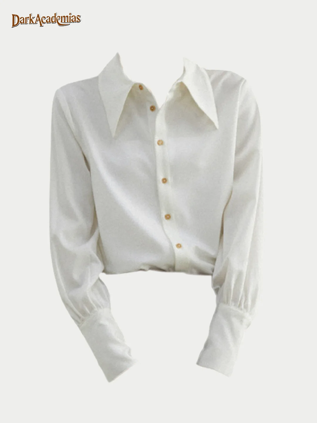 Darkacademias White Preppy Style Pointed Collar Shirt / DarkAcademias /Darkacademias