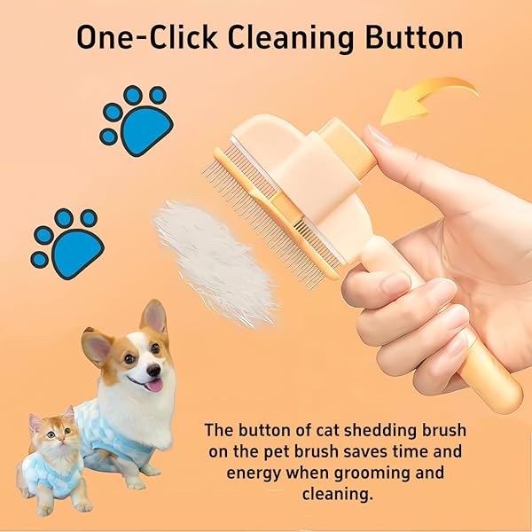 Dog care products