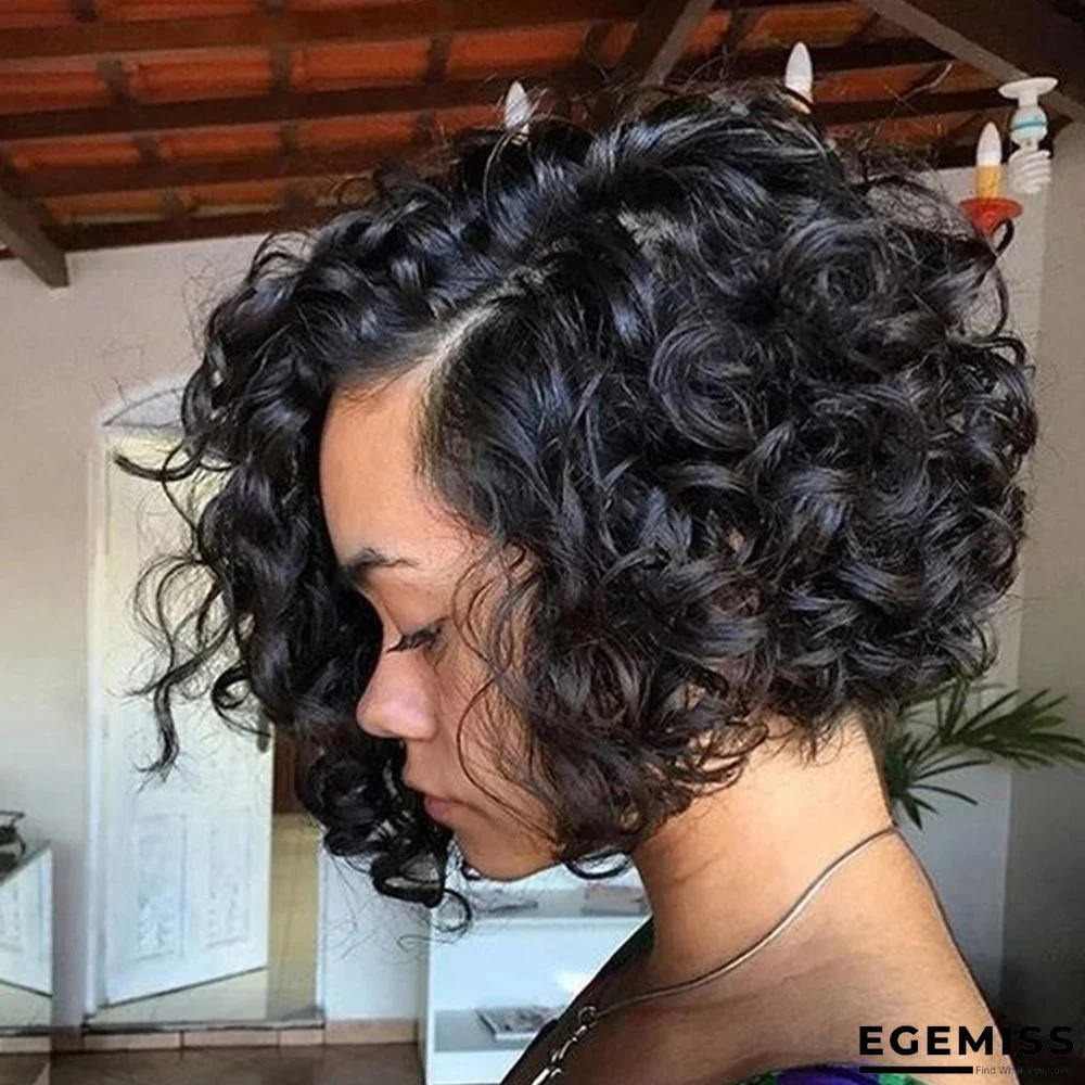 Black Fashion Personality Short Curly Wigs | EGEMISS
