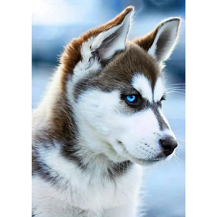 Dog Animal Round Full Drill Diamond Painting 30X40CM(Canvas) gbfke