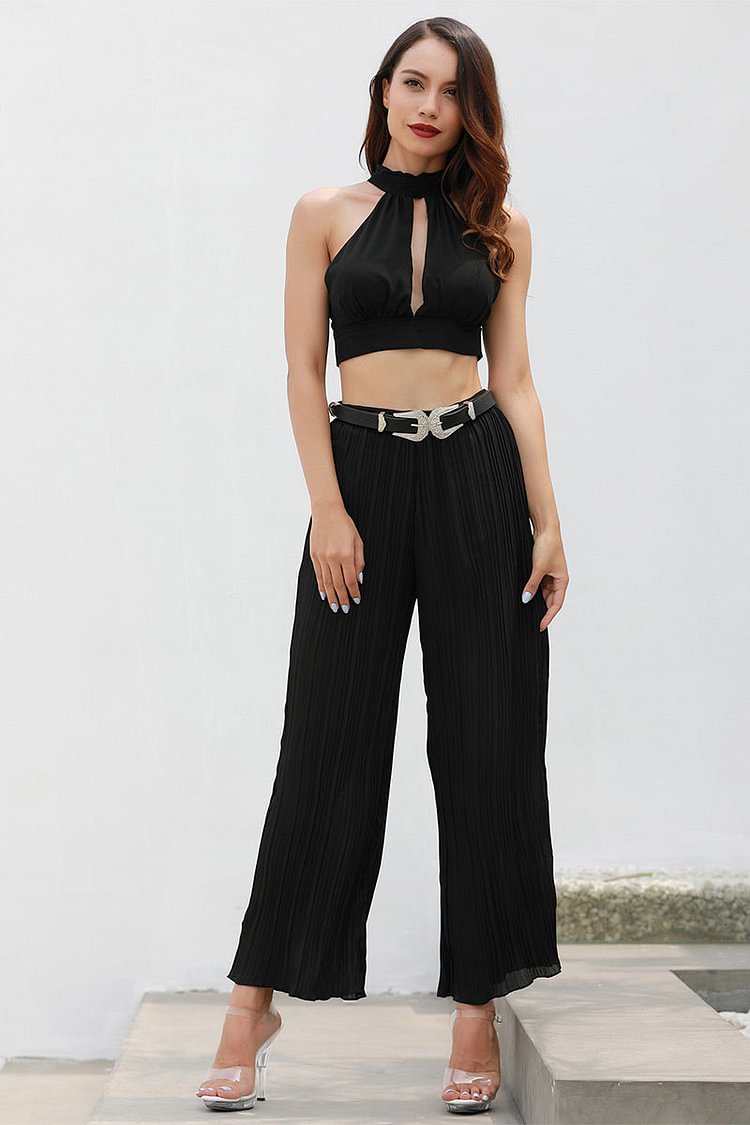 Black Pleated Empire Chiffon Pants - BlackFridayBuys