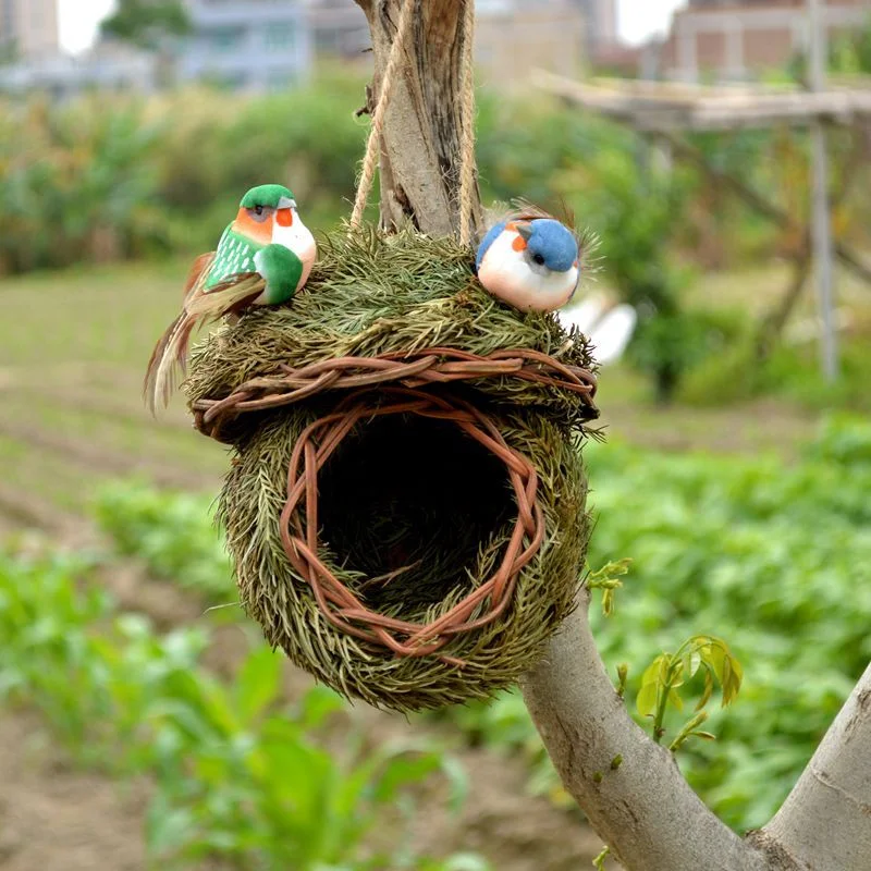 💲ONE DAY 50% OFF-🐦Hummingbird Nest House