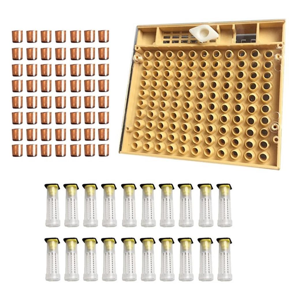 120pcs Bee Cell Cups Queen Rearing System Beekeeping Tool Cultivating Box, 501 Original
120pcs Bee Cell Cups Queen Rearing System Beekeeping Tool Cultivating Box, 501 Original