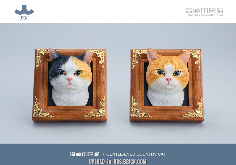 JXK - Gentle-eyed country cat JS2607 (Licensed)