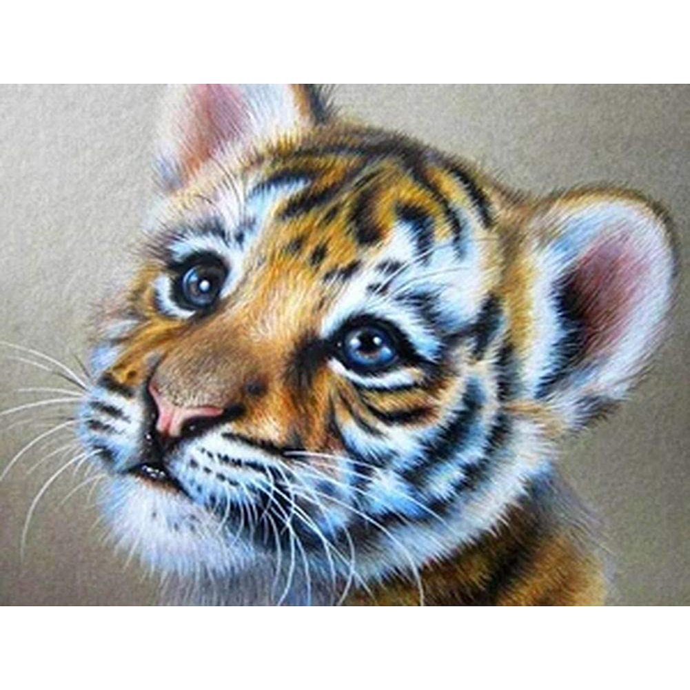 (Multi-Size) Tiger - Round/Square Drill Diamond Painting 40*30cm/50*40cm, Square diamond 30*40cm, 501 Original
(Multi-Size) Tiger - Round/Square Drill Diamond Painting 40*30cm/50*40cm, Square diamond 30*40cm, 501 Original