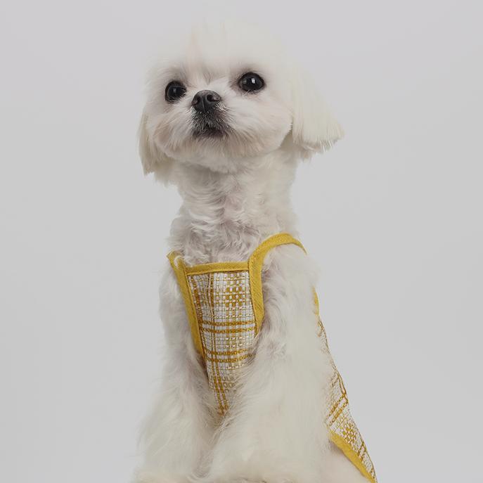 BZPET dog clothes suspenders