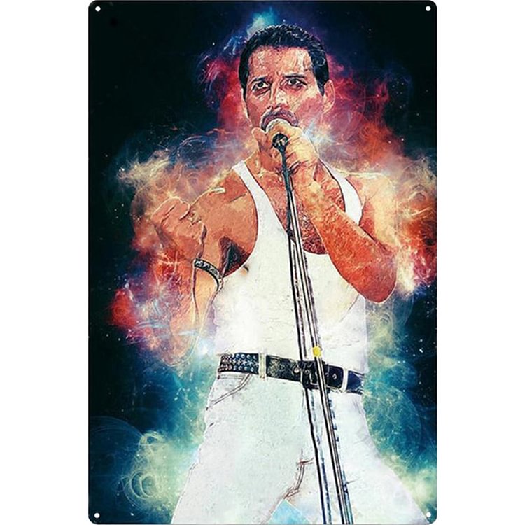 Lead Singer of Queen - Vintage Tin Signs/Wooden Signs - 20*30cm/30*40cm