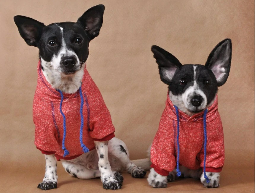 The Healing Power of Custom Stuffed Animals for Pet Loss