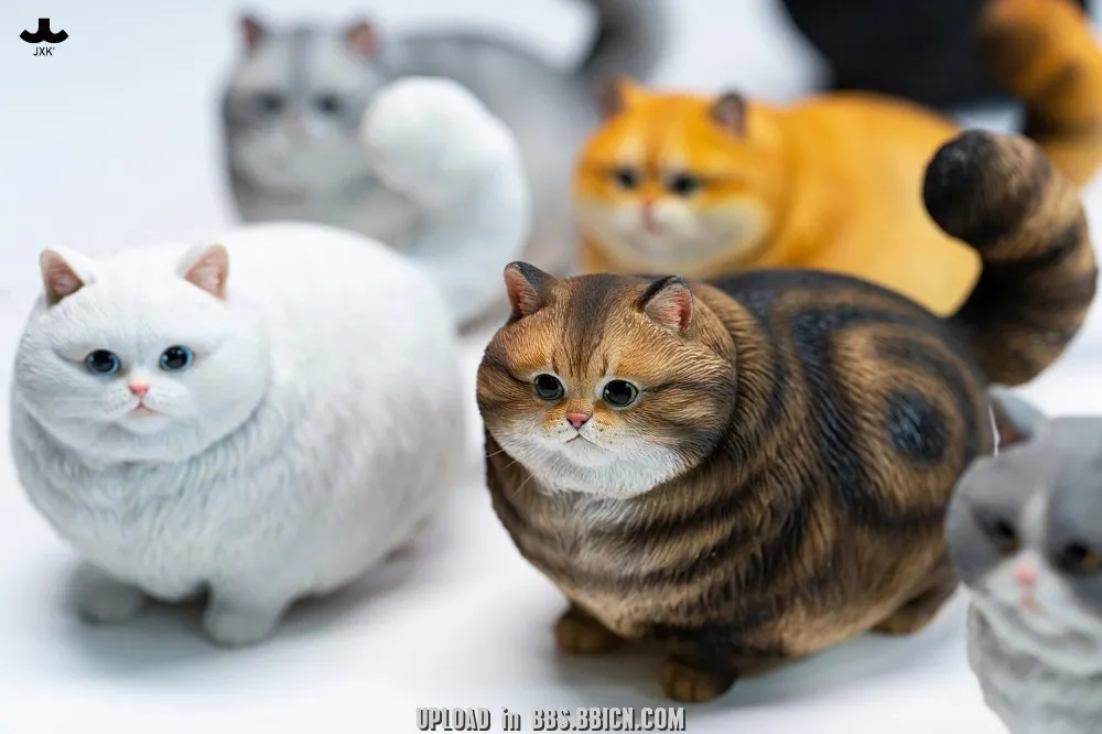 JXK-Chubby Kitty-JXK390A/B/C/D/E/F