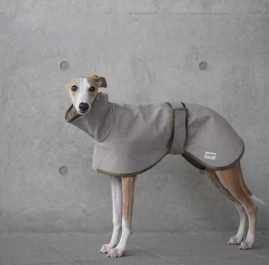 Italian Greyhound City Walk Coat roarxlpet