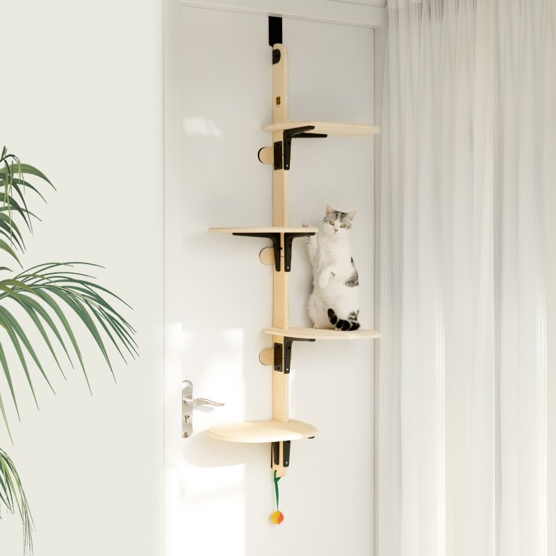 Cat climber outlet door