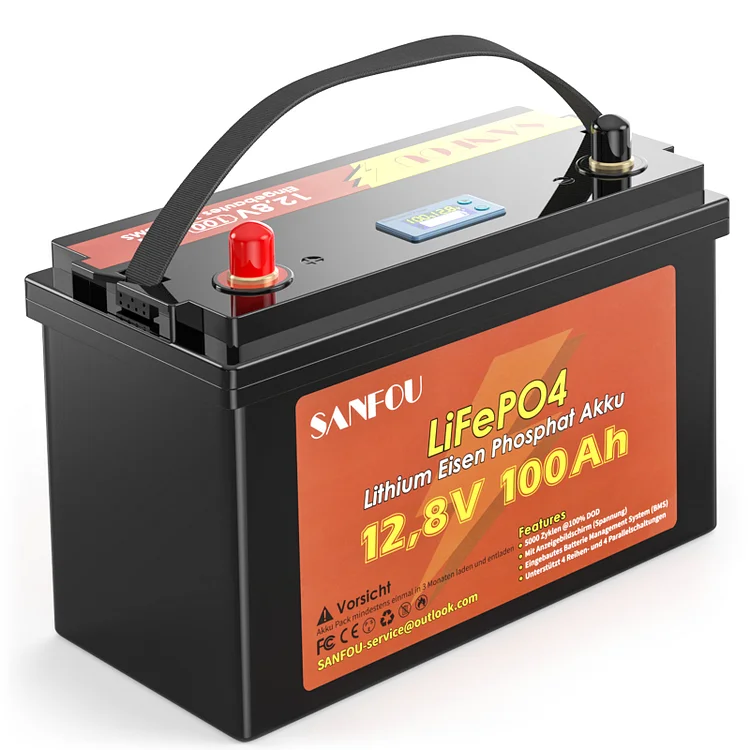 SANFOU 12.8V 100Ah LiFePO4 Battery, Built In 100A BMS