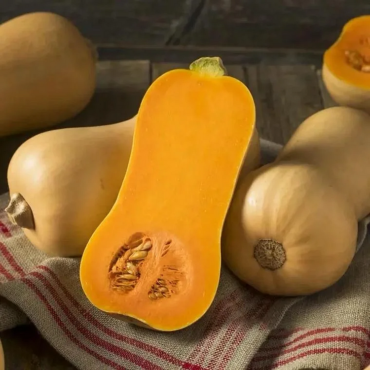 🔥Discount (Today Only)🔥🎃95 Day Harvest - Buttercream Pumpkin