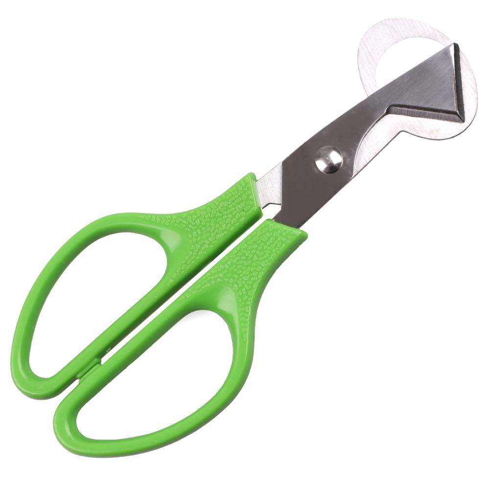 Creative Stainless Steel Pigeon Quail Egg Scissor Birds Eggshell Cut Opener, 501 Original
Creative Stainless Steel Pigeon Quail Egg Scissor Birds Eggshell Cut Opener, 501 Original