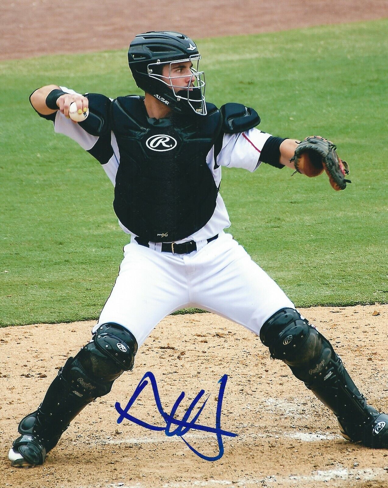 Signed 8x10 AUSTIN HEDGES San Diego Padres Autographed Photo Poster painting - COA