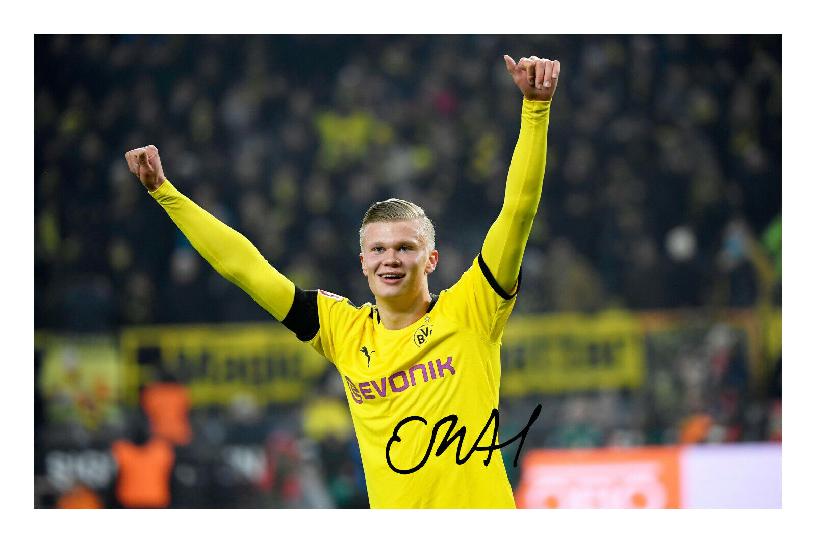 Erling Haaland Signed A4 Photo Poster painting Print Autograph BVB Borussia Dortmund Football