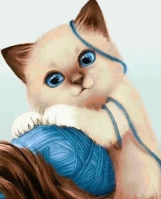 

Little Cat – Paint By Numbers - 40*50CM, 501 Original