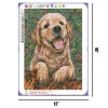 Golden Hair Dog | Full Round Diamond Painting Kits