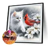Diamond Painting - Full Round Drill - Cat Cardinal(Canvas|40*40cm)