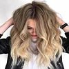 Hot New Pretty Wave Brown Mixed Gold Wig