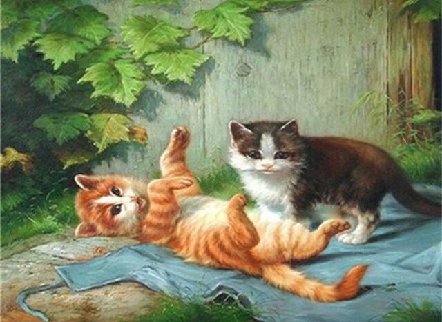 

The Cat Playing in Yard – Paint By Numbers - 40*50CM, 501 Original