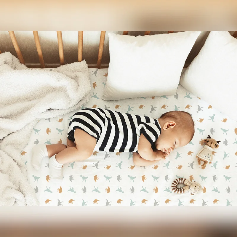 Egmao Baby Premium 100% Organic Cotton Crib Sheet - Jurassic World