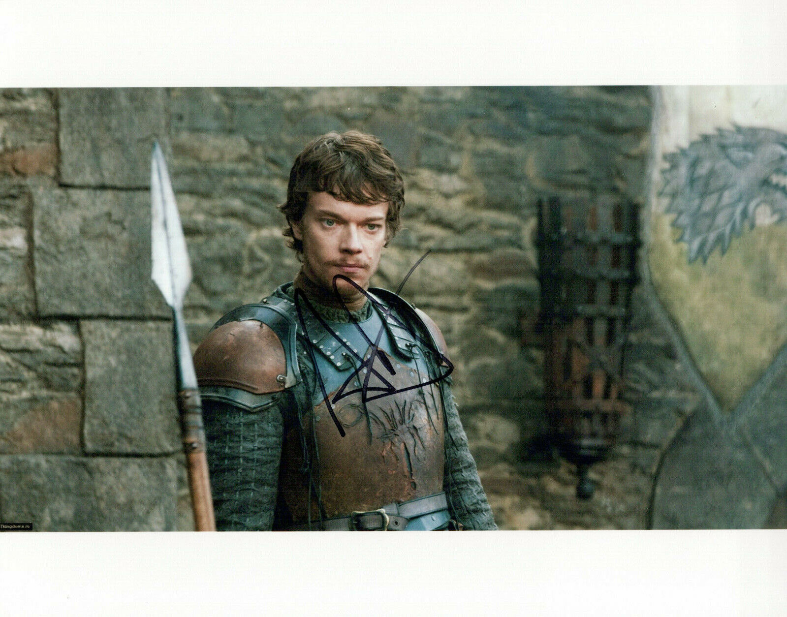 Alfie Allen Game Of Thrones autographed Photo Poster painting signed 8x10 #3 Theon Greyjoy