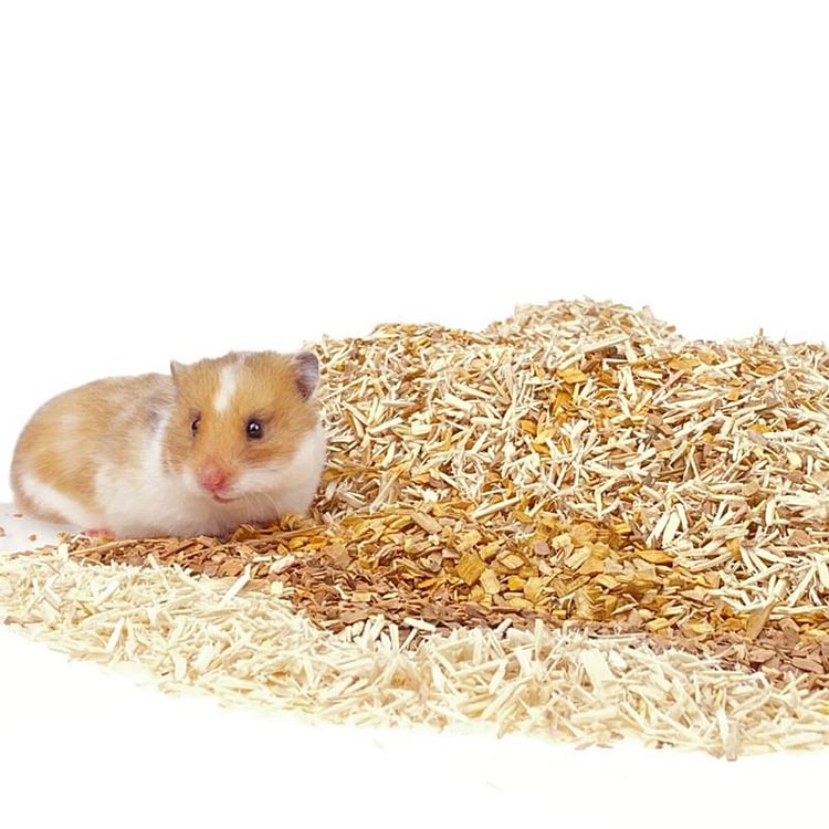 hamster sand bedding