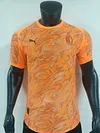 2025/2026 Player Version AC Milan Special Edition Football Jersey 1:1 Thai Quality
