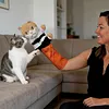 Cat Puppet Wrestler with Protective Sleeve Stuffed Animal Plush Cat Hand Glove Play & Enrichment for Boredom Busting Training and Exercise