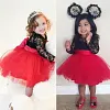 Kid Baby Girl  Princess Mesh Lace Wedding Christmas Dresses
